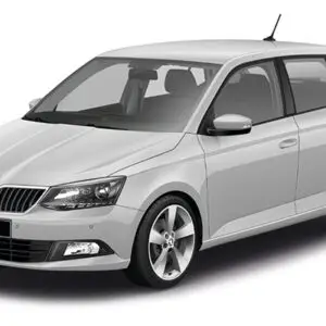SKODA FABIA or similar